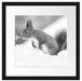 Eichhörnchen im Schnee Kunst B&W Passepartout Quadratisch 40x40