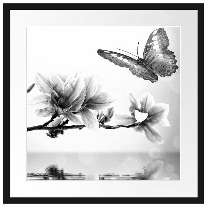 Schmetterling mit Magnolien-Blüte Passepartout Quadratisch 55x55