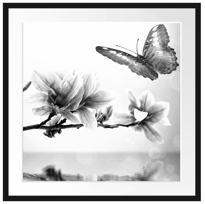 Schmetterling mit Magnolien-Blüte Passepartout Quadratisch 70x70