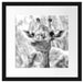 Giraffe in der Natur Kunst B&W Passepartout Quadratisch 40x40