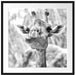 Giraffe in der Natur Kunst B&W Passepartout Quadratisch 70x70