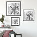Giraffe in der Natur Kunst B&W Quadratisch Passepartout Wohnzimmer