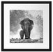 Elefanten Baby Mama Passepartout Quadratisch 40x40