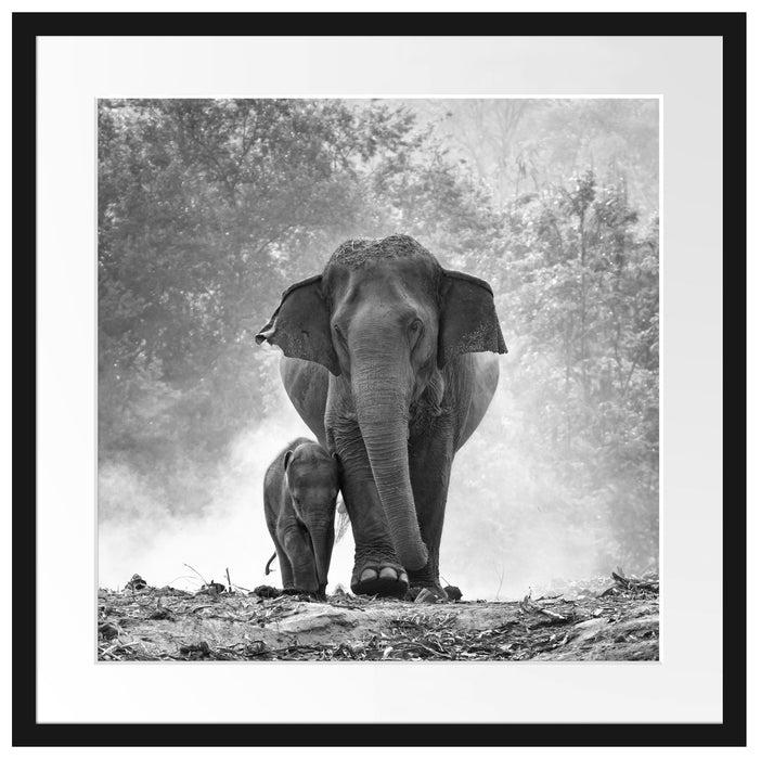 Elefanten Baby Mama Passepartout Quadratisch 55x55