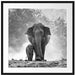 Elefanten Baby Mama Passepartout Quadratisch 70x70