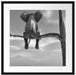 Elefant auf einem Ast in der Wüste Passepartout Quadratisch 55x55