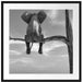 Elefant auf einem Ast in der Wüste Passepartout Quadratisch 70x70