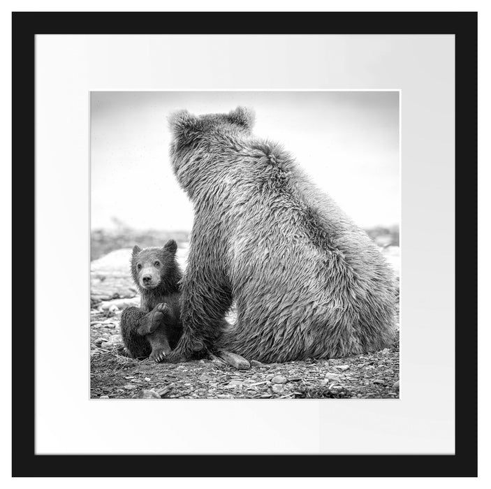 Bär mit Baby nach dem Baden Passepartout Quadratisch 40x40