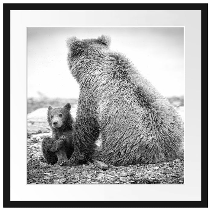 Bär mit Baby nach dem Baden Passepartout Quadratisch 55x55