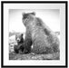 Bär mit Baby nach dem Baden Passepartout Quadratisch 55x55
