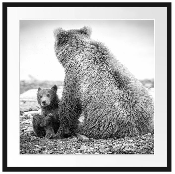 Bär mit Baby nach dem Baden Passepartout Quadratisch 70x70