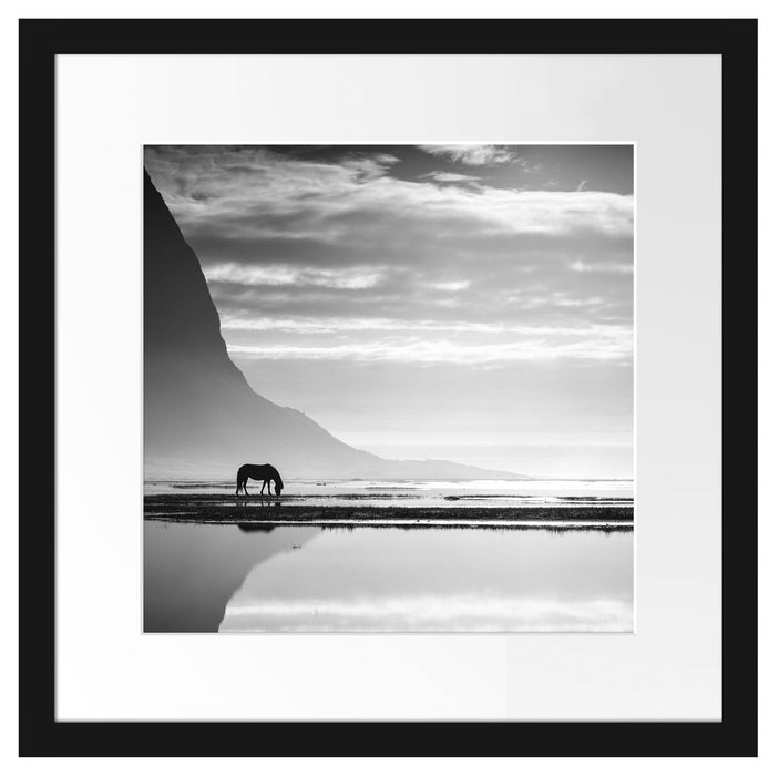 Pferd am Ufer einer Insel Passepartout Quadratisch 40x40