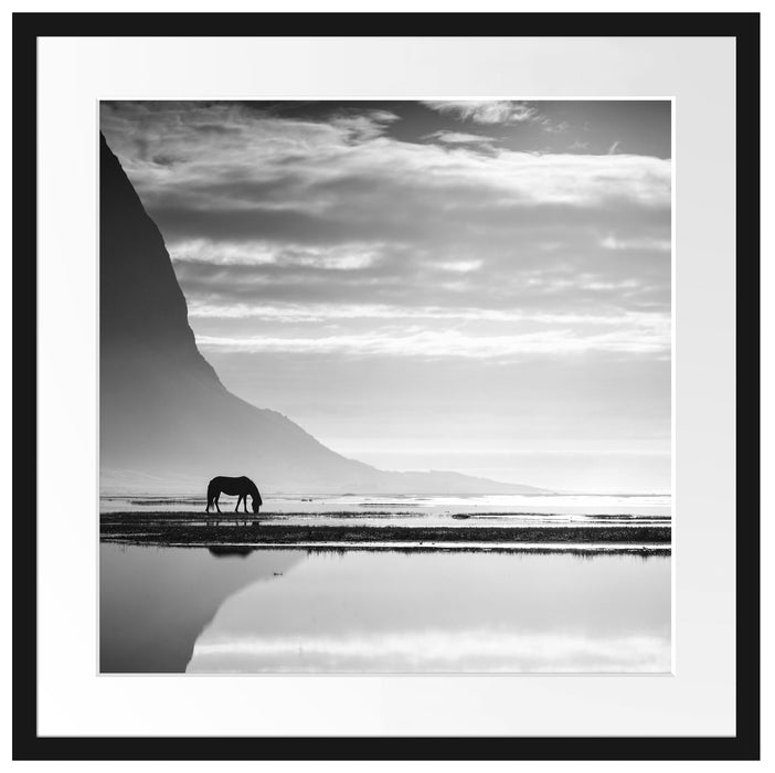 Pferd am Ufer einer Insel Passepartout Quadratisch 55x55