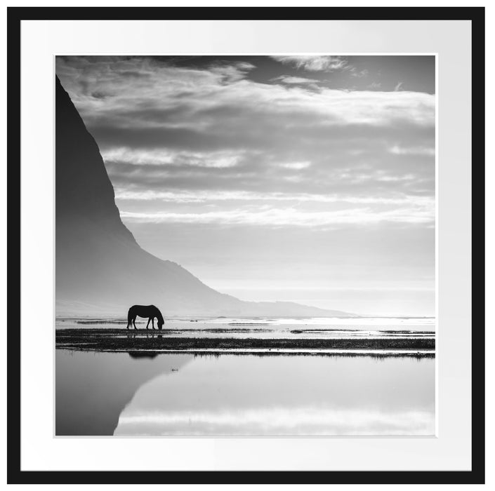 Pferd am Ufer einer Insel Passepartout Quadratisch 70x70