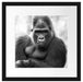 gelangweilter Gorilla Kunst B&W Passepartout Quadratisch 40x40