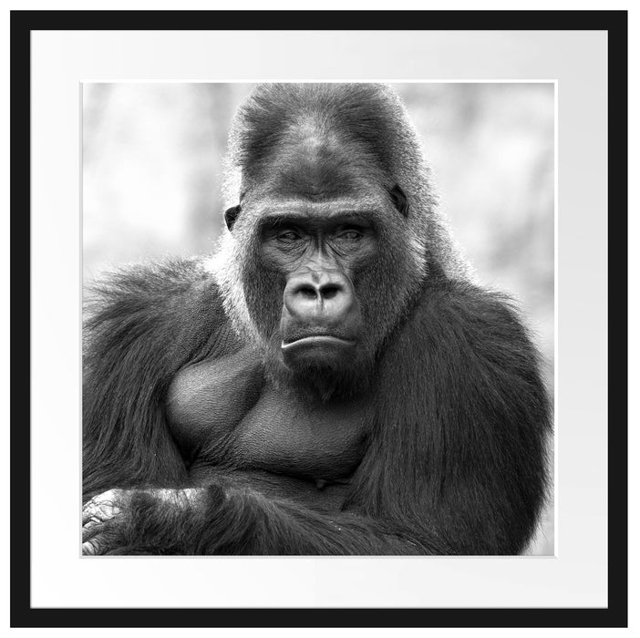gelangweilter Gorilla Kunst B&W Passepartout Quadratisch 55x55