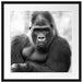 gelangweilter Gorilla Kunst B&W Passepartout Quadratisch 55x55