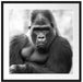 gelangweilter Gorilla Kunst B&W Passepartout Quadratisch 70x70