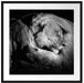 Männer Frauen Löwe kuscheln Passepartout Quadratisch 70x70