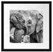 Elefantenmutter mit Kalb B&W Passepartout Quadratisch 40x40