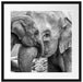 Elefantenmutter mit Kalb B&W Passepartout Quadratisch 55x55