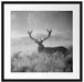 Rotwild Hirsch im Nebel Kunst B&W Passepartout Quadratisch 55x55