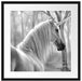 Einhorn im Wald Passepartout Quadratisch 55x55