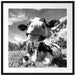 Kuh im Karwendelgebirge Kunst B&W Passepartout Quadratisch 70x70