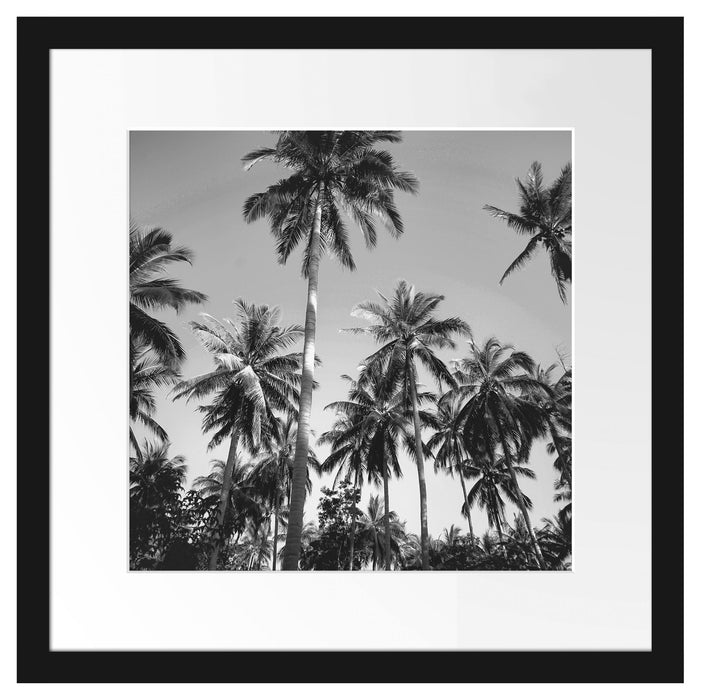 Tropische Palmen Kunst B&W Passepartout Quadratisch 40x40