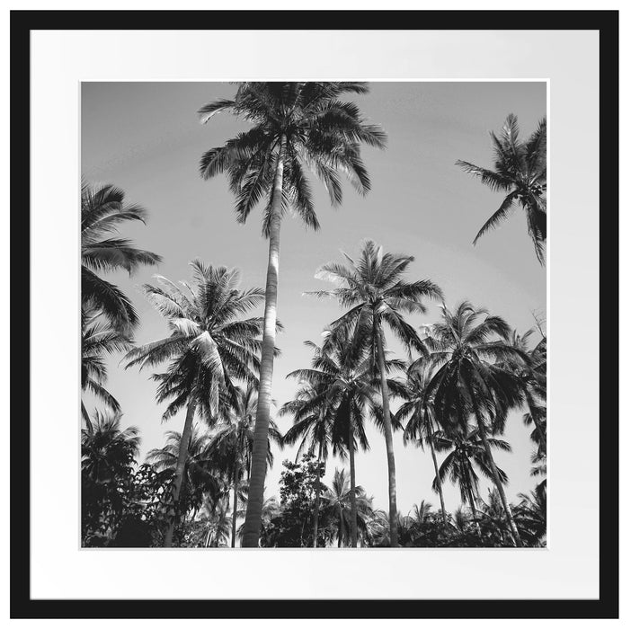 Tropische Palmen Kunst B&W Passepartout Quadratisch 55x55