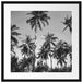 Tropische Palmen Kunst B&W Passepartout Quadratisch 55x55