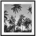 Tropische Palmen Kunst B&W Passepartout Quadratisch 70x70