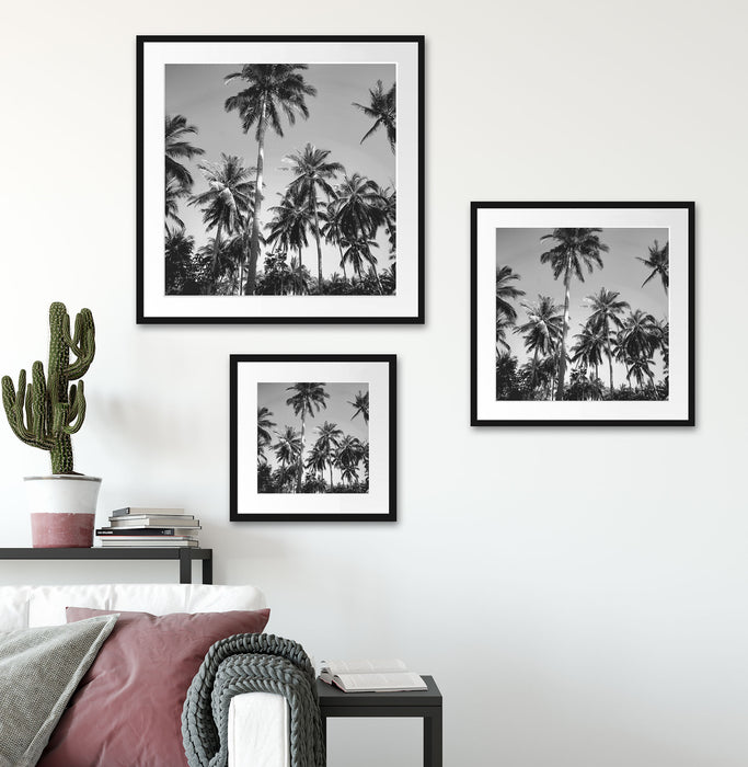 Tropische Palmen Kunst B&W Quadratisch Passepartout Wohnzimmer