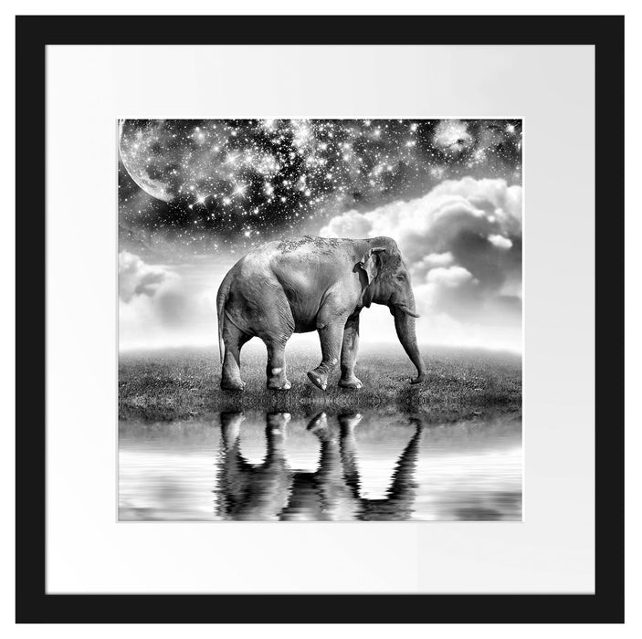 Elefant, Wiese, Himmel, Afrika Passepartout Quadratisch 40x40