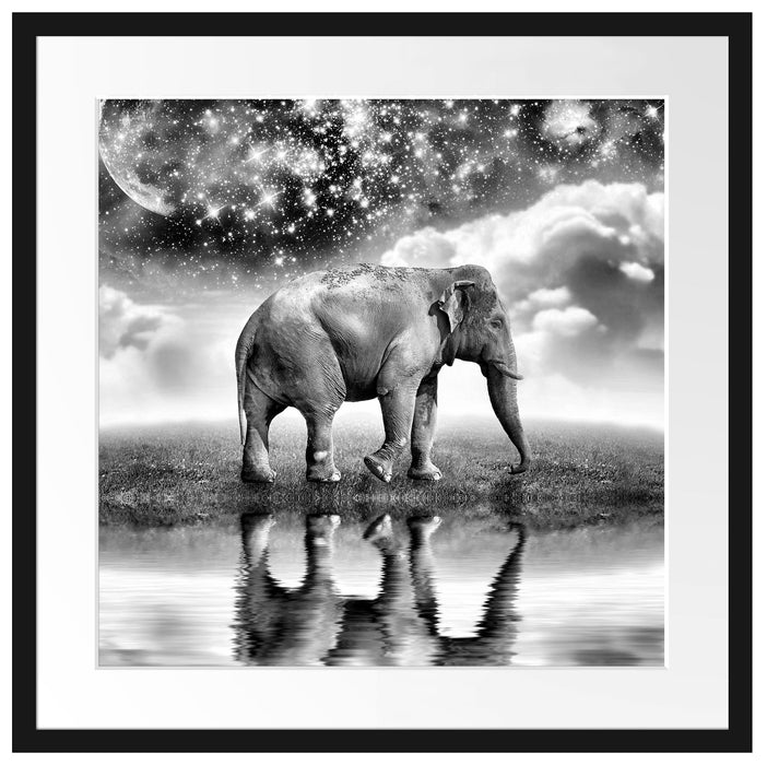 Elefant, Wiese, Himmel, Afrika Passepartout Quadratisch 55x55