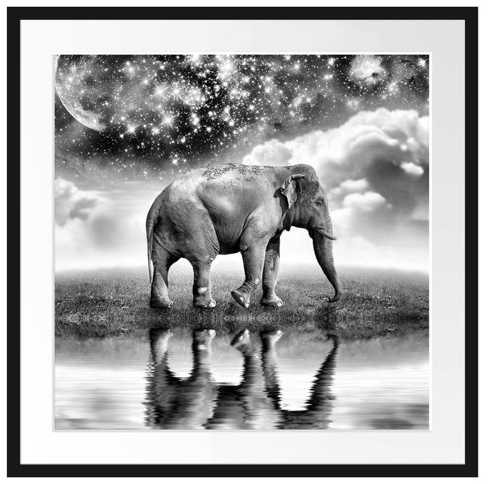 Elefant, Wiese, Himmel, Afrika Passepartout Quadratisch 70x70