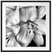 Dark Blüte schwarz-Weiß Passepartout Quadratisch 70x70