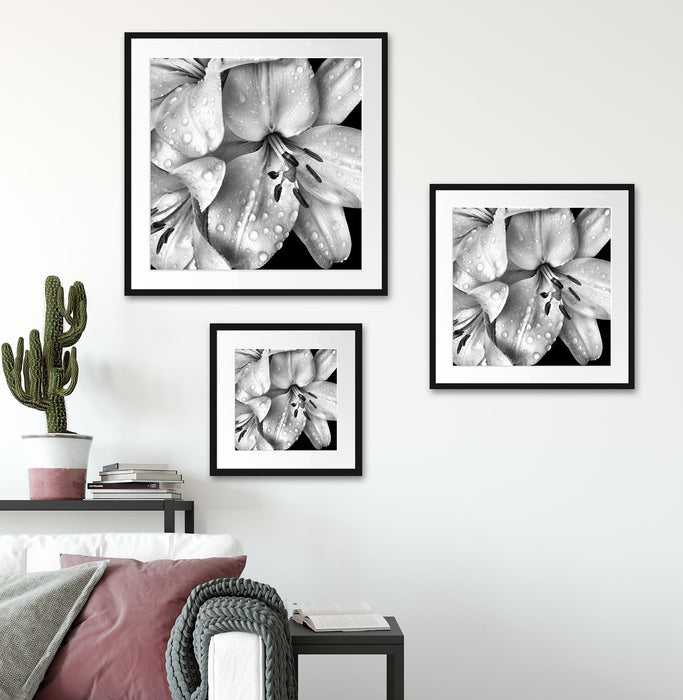 Dark Blüte schwarz-Weiß Quadratisch Passepartout Wohnzimmer