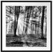 Waldlichtung im Sonnenschein Passepartout Quadratisch 70x70