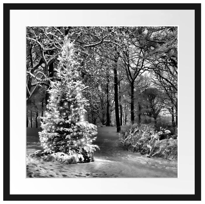 Leuchtender Weihnachtsbaum Passepartout Quadratisch 55x55