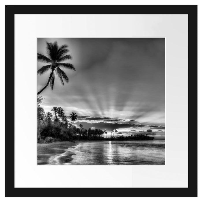 Palmen am Strand Passepartout Quadratisch 40x40