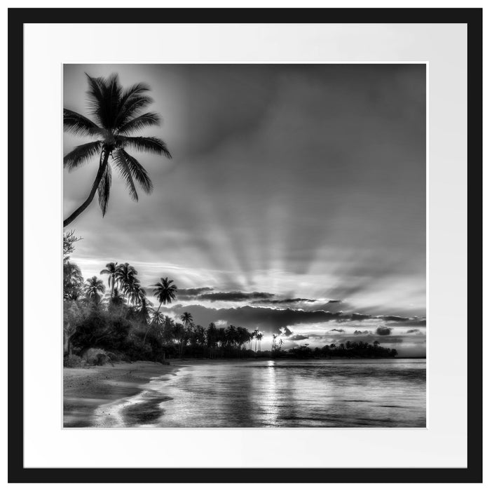 Palmen am Strand Passepartout Quadratisch 55x55