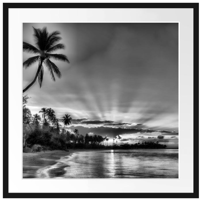 Palmen am Strand Passepartout Quadratisch 70x70