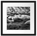 Meerjungfrau im Wasser liegend Passepartout Quadratisch 40x40
