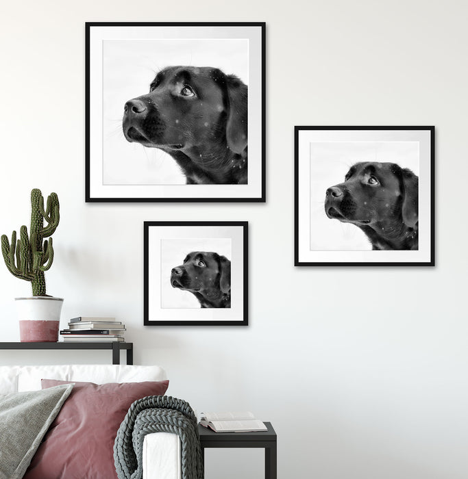 Schwarzer Labrador im Schnee Quadratisch Passepartout Wohnzimmer