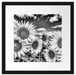 Sonnenblumenwiese unter Himmel Passepartout Quadratisch 40x40