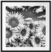 Sonnenblumenwiese unter Himmel Passepartout Quadratisch 70x70