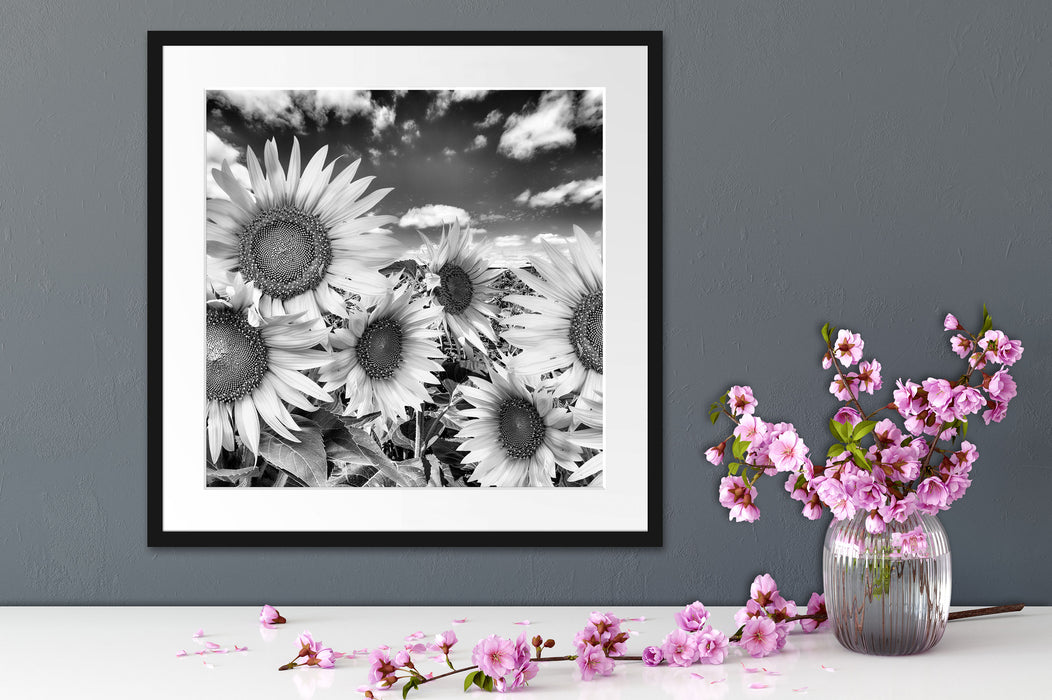 Sonnenblumenwiese unter Himmel Quadratisch Passepartout Dekovorschlag