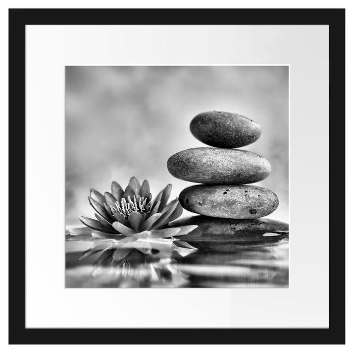 Seerosenblüte mit Zen Steinen Passepartout Quadratisch 40x40