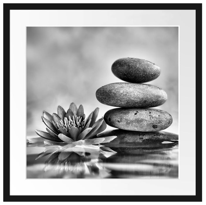 Seerosenblüte mit Zen Steinen Passepartout Quadratisch 55x55